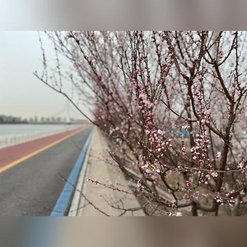 天津新河哪个房源好租