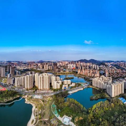 广州市什么湾区