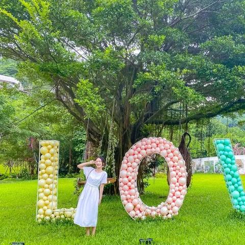 广州市平均海拔多少米