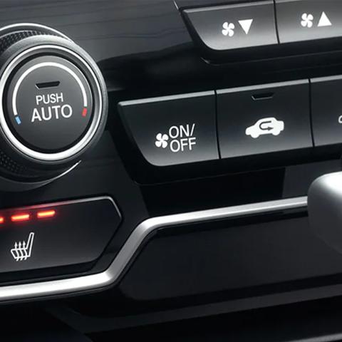 生肖猪的23年的运势怎样(属猪2023年运势详解全年运程完整版)