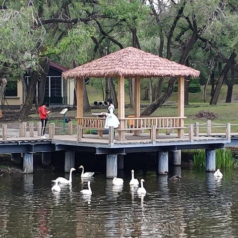 哈尔滨太阳岛怎么样相关长尾关键词有哪些