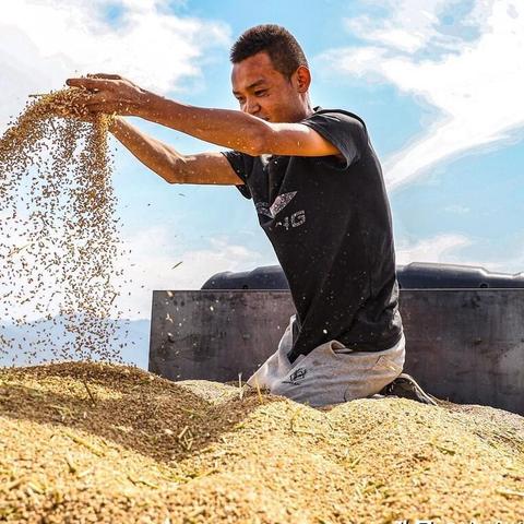 河南人的面包叫什么