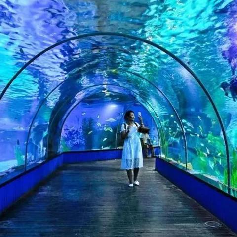 兰州极地海洋世界能吃火锅吗？