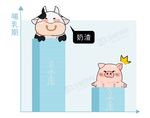 猪奶为什么没人喝