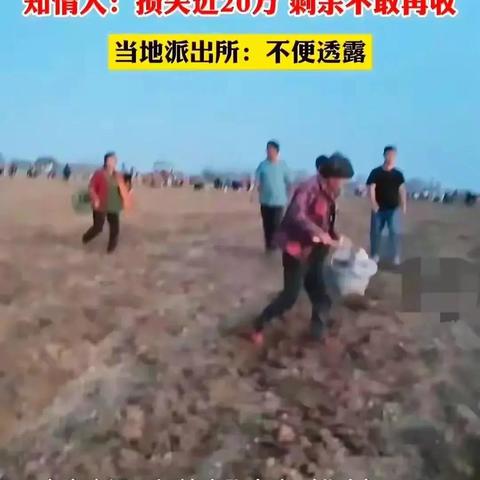 周口市人才中心招聘公告的长尾关键词有哪些