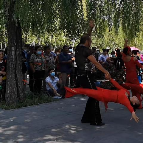 沈阳市监管账户怎么查