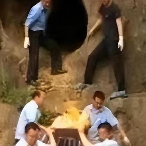 山东临沂市费县惨案的长尾关键词有什么