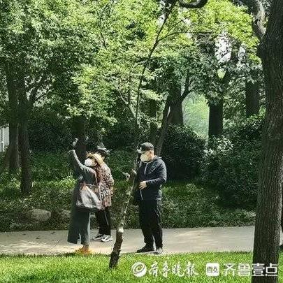 济南哪里有菩提树相关长尾关键词有哪些