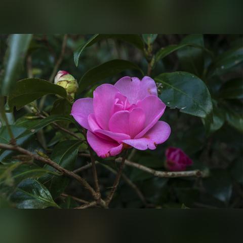 怎么去桂林乐满地相关长尾关键词有哪些