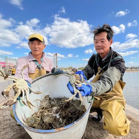 成都市捞趣老火锅店地址的长尾关键词有什么
