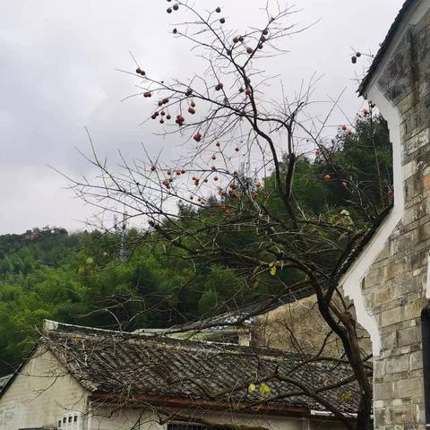 宁波到栖霞坑古道的相关长尾关键词有哪些