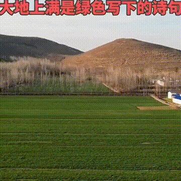 网上为什么都骂河南人