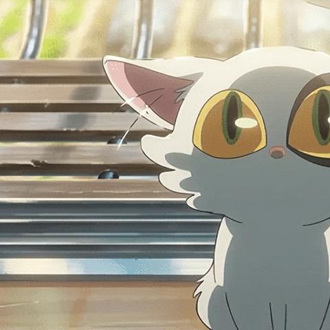 什么电影如此火爆