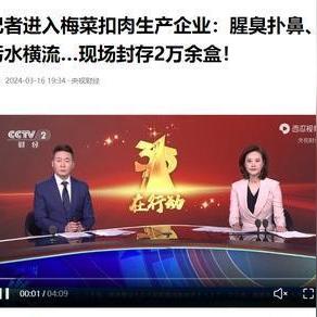 合肥市执照办理哪里有