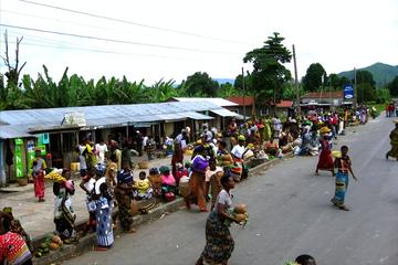 福建能去哪个国家打工