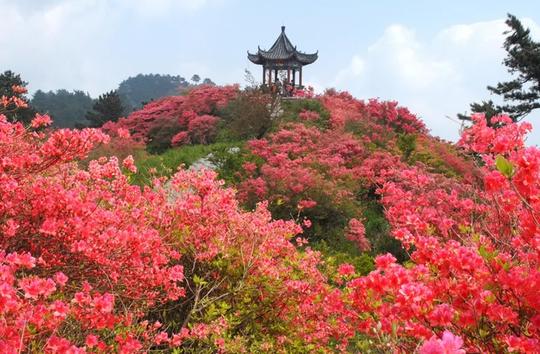 广东一冷门景区走红，不是白云山却胜似白云山，常年被云雾笼罩