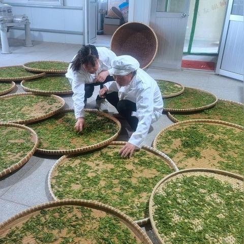 武汉市农科院工资怎么样