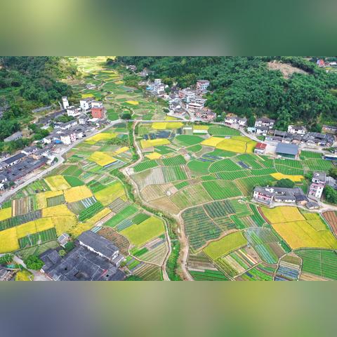 福建哪个市哪个县好