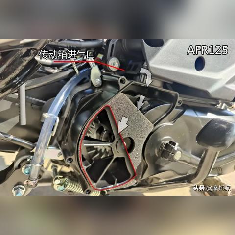 济南市哪里有批发海绵垫