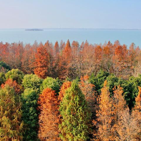 [苏州 音乐 协会]相关长尾关键词有哪些