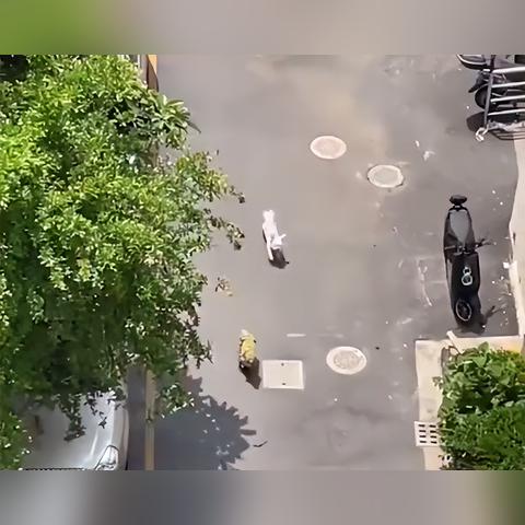 关于现在上海疫情回家好吗相关关键词有哪些