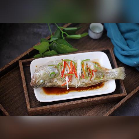 温州市实力中考集训英语的长尾关键词有哪些