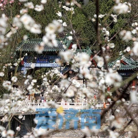 济南市现在哪里能玩
