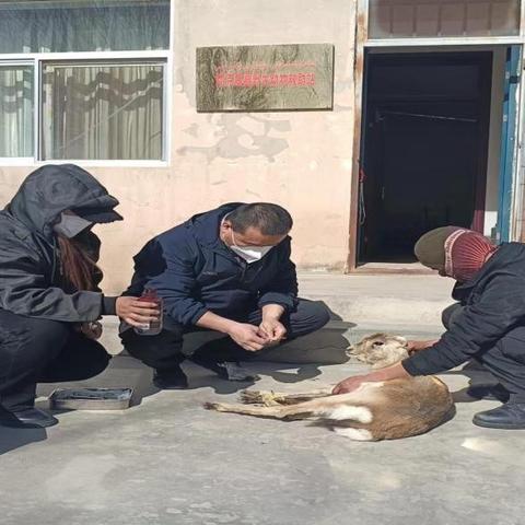 河北武汉疫情的相关长尾关键词有哪些