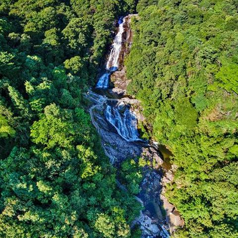 女命八字带童子煞会婚姻不幸福吗_八字带童子煞的人(八字带童子煞的人怎么化解)