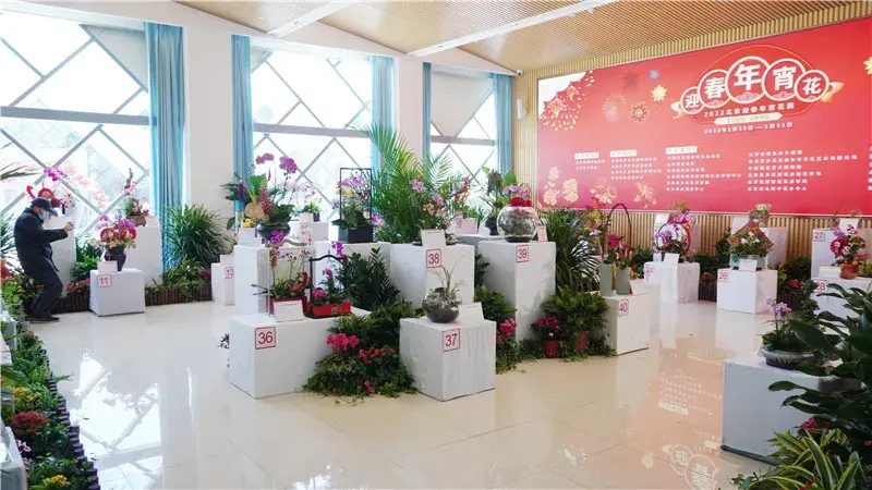 直播的时候能玩微信吗 微信什么时候能玩直播赚钱