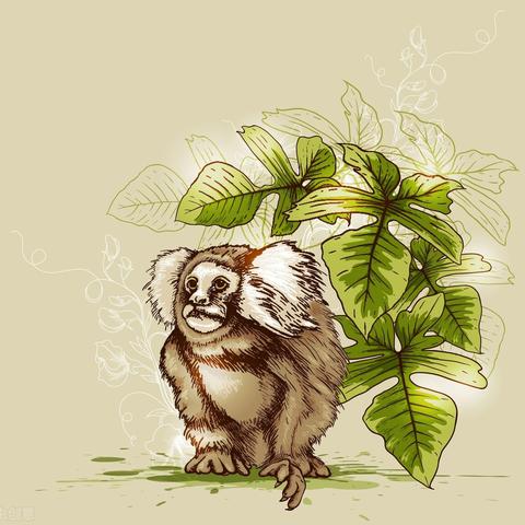 属蛇的生肖流年运势如何(属蛇人的流年运程)