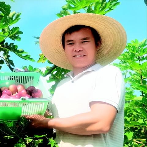 桂林的水果是哪些？