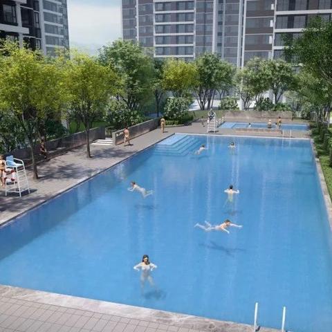 广州市社保为什么查不到