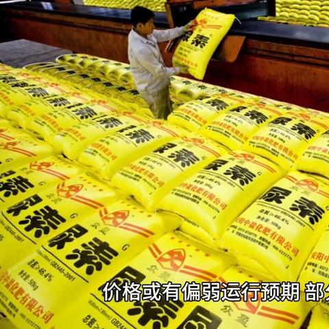 中肥通讯社复合肥相关长尾关键词有哪些