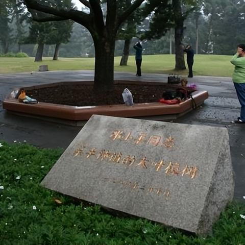 厦门cat专卖的相关长尾关键词有哪些