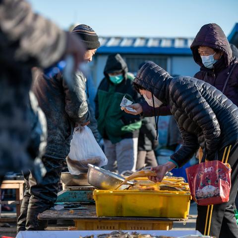 大连市农村是什么样的