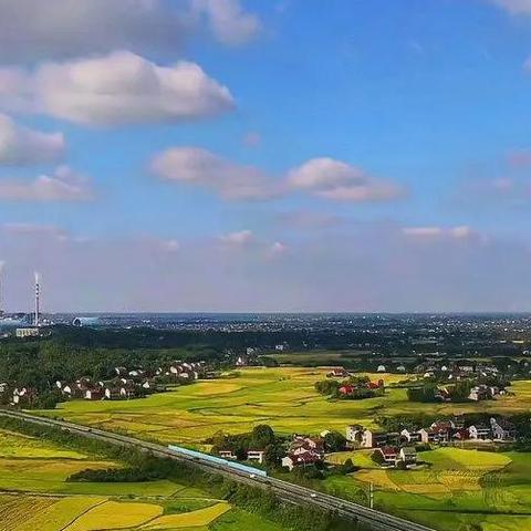我想去湖南长沙市，坐什么车方便？
