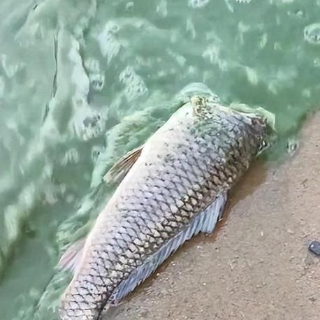 大连几个海洋馆的长尾关键词有什么