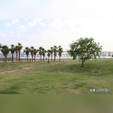 厦门十里长堤唱歌时间每天都有吗？