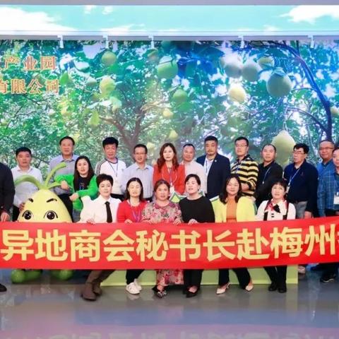 深圳市比梅州市哪个大
