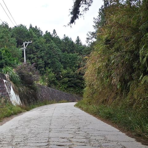 北京到福建有多远？