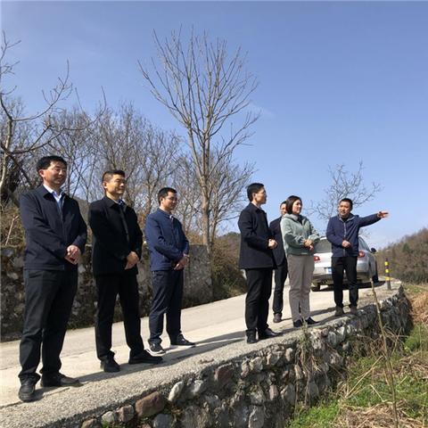 毒蘑菇（毒蘑菇，自然中的隐患与科普教育的重要性）