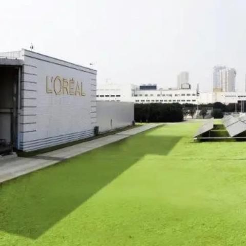 苏州市七认真是什么