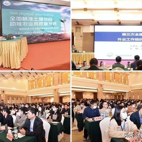 河南山东什么土壤好