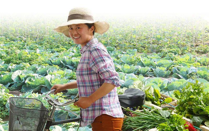 农村种植什么最赚钱,但是不知道种植哪种比较赚钱?