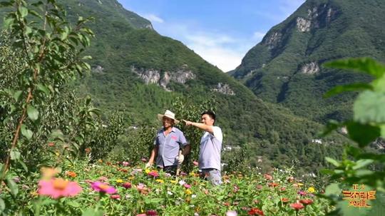 辞去副总返乡创业，产业共有8100亩，带领乡亲奔致富路