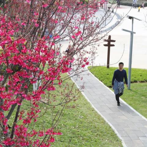 厦门市民卡是做什么用