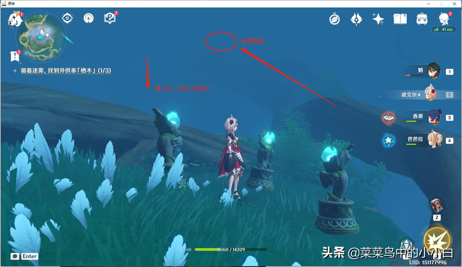 原神栖木遗迹怎么解（鹤观迷雾怎么不迷失方向）