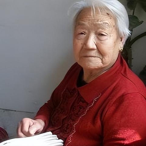 西安市个人养老怎么查询
