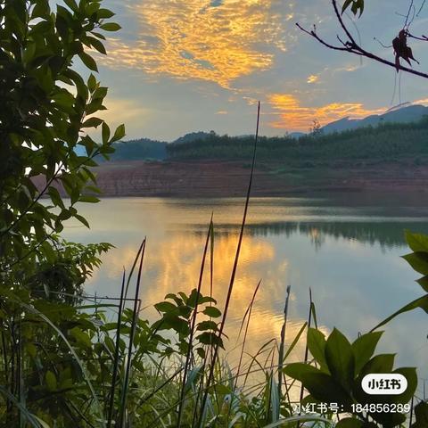 南宁小众婚礼策划的相关长尾关键词有哪些